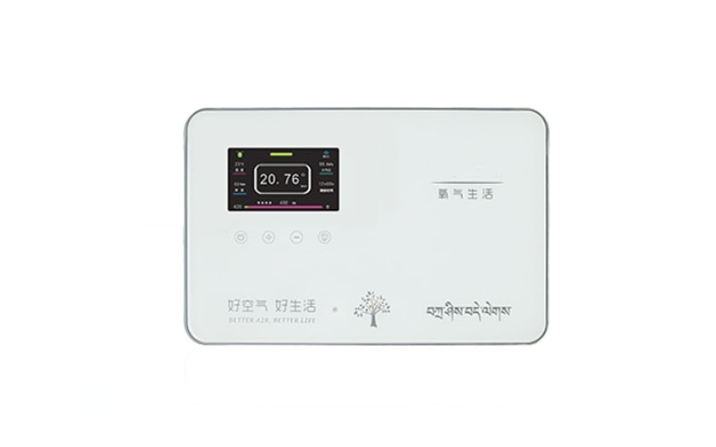 黑龙江弥散供氧系统终端